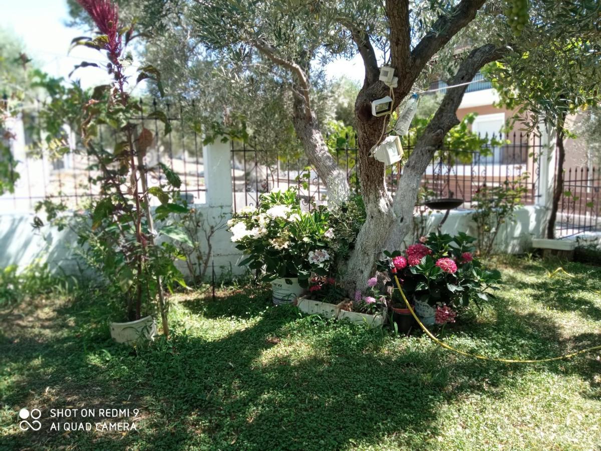 Bella-Caza Apartment Makri Exterior photo