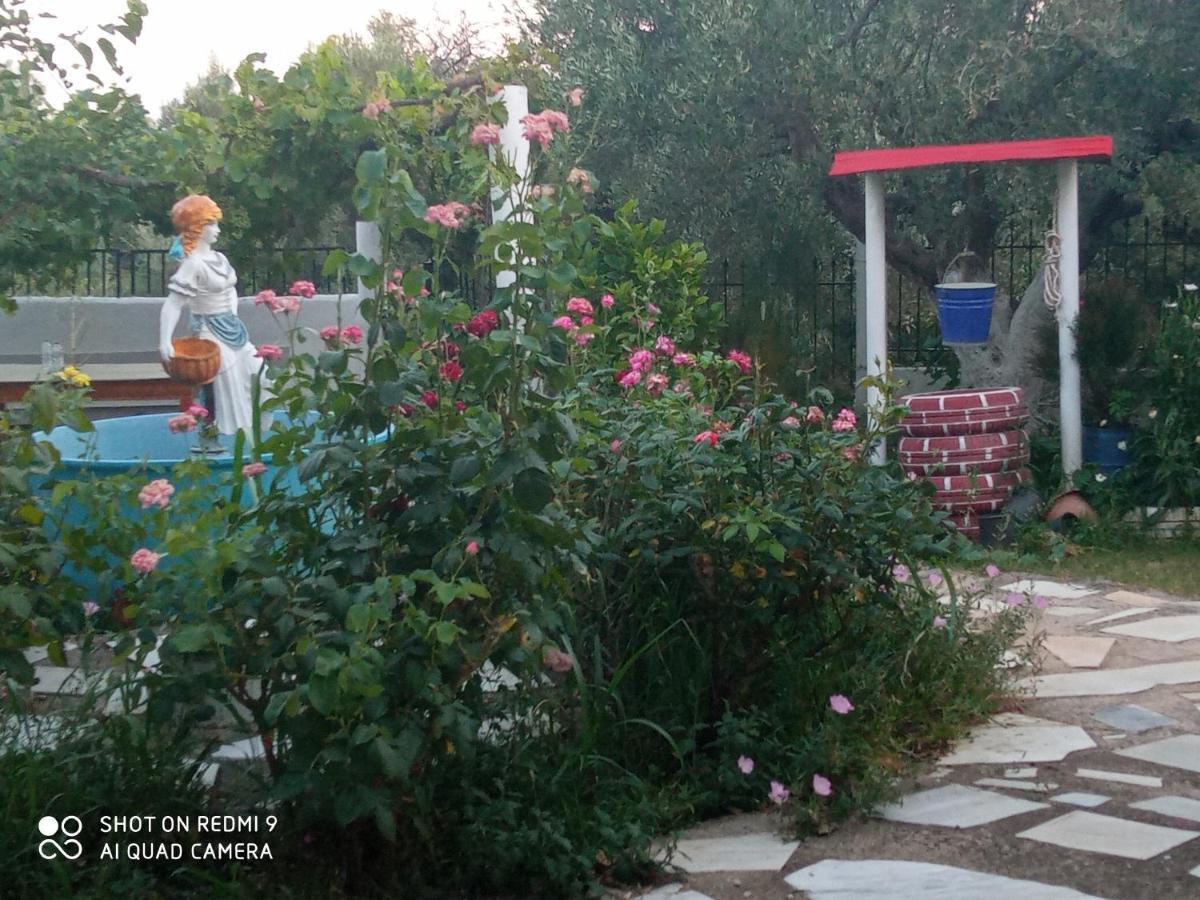 Bella-Caza Apartment Makri Exterior photo