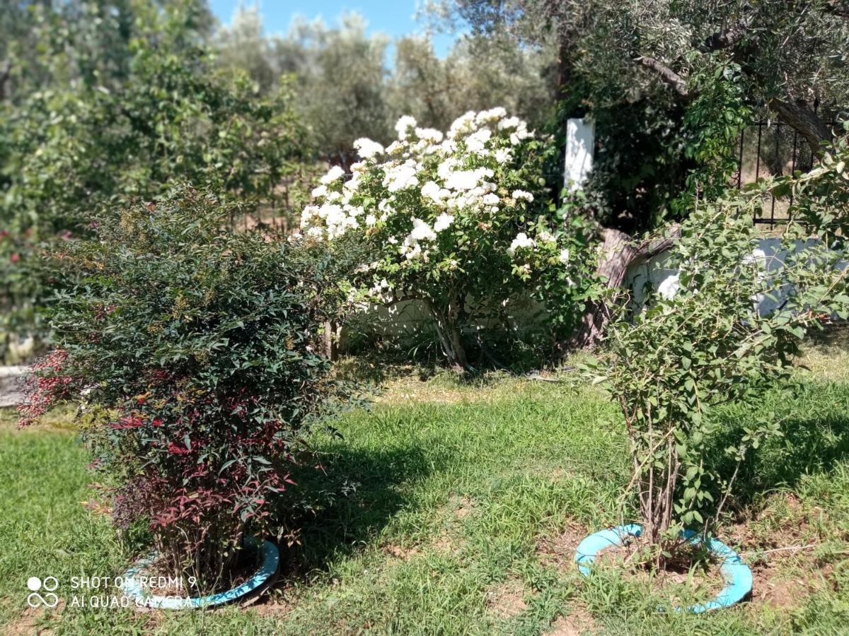 Bella-Caza Apartment Makri Exterior photo
